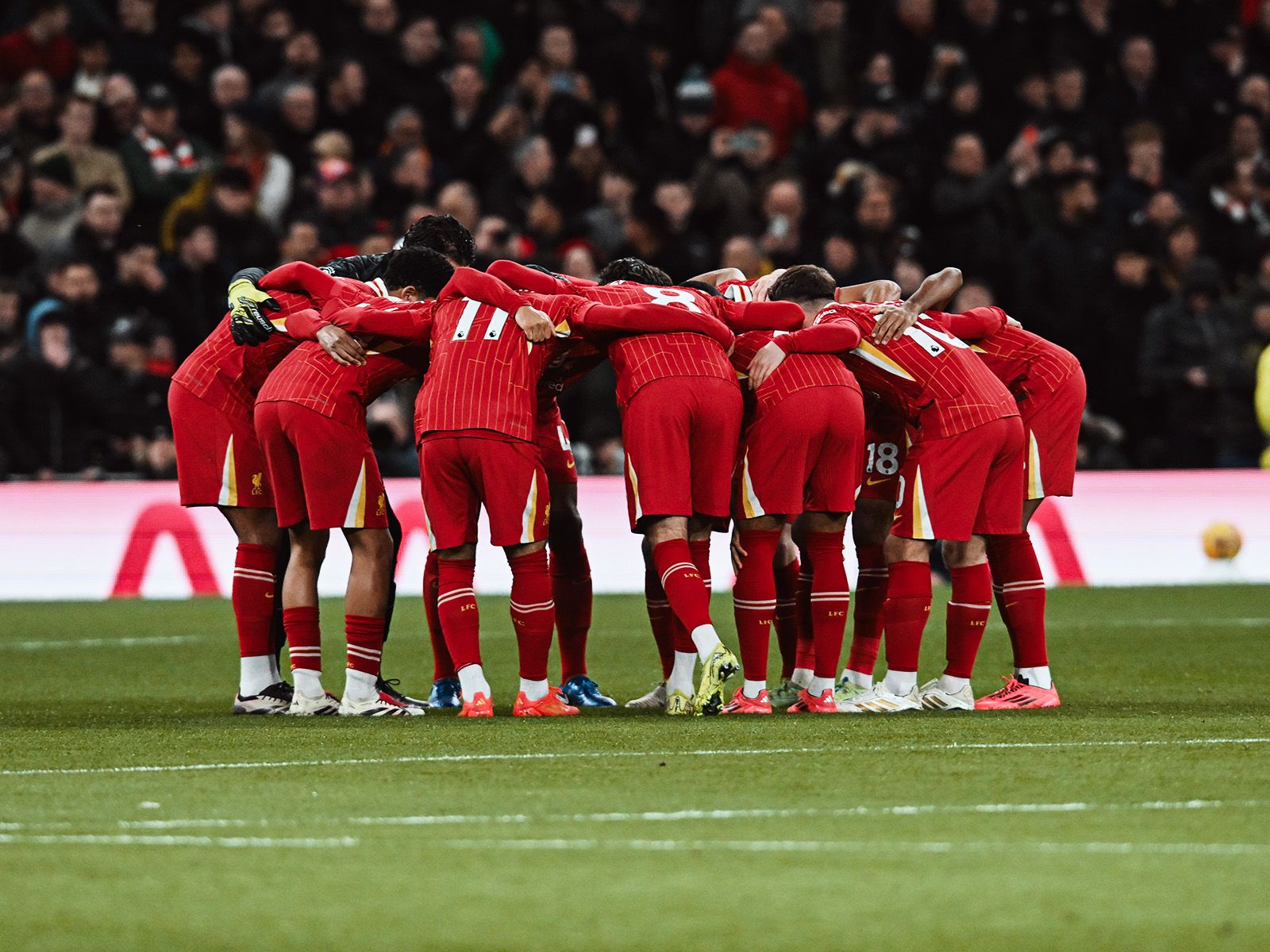 斑点形态近 斑点形态近